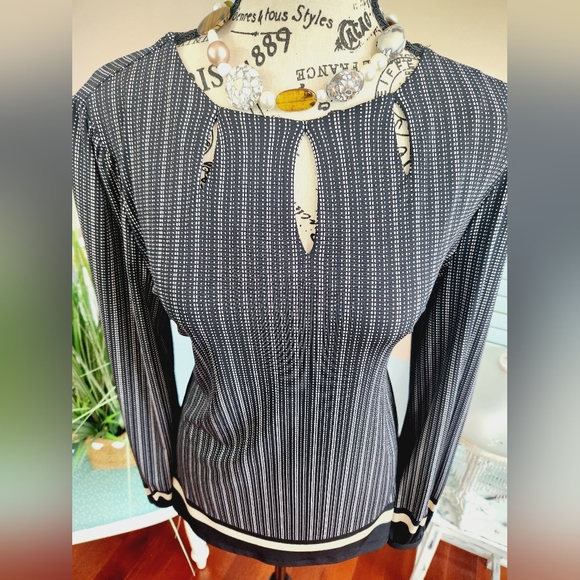 Liz Claiborne Long Sleeve Stripe Print Blouse - Picture 4 of 8